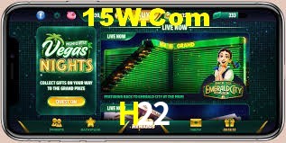Bonus Features H22