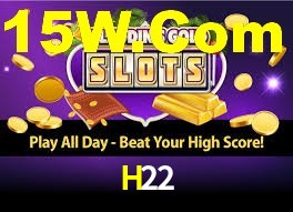 Premium Interface H22
